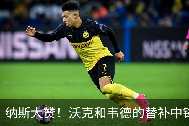 纳斯大赞！沃克和韦德的替补中锋之路蓄势待发